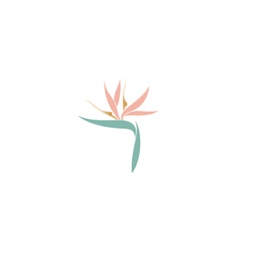 Beauty Society